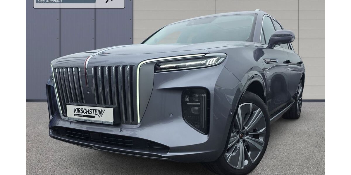 Hongqi E-HS9 10.198 km 51.990 &euro; Bad Hersfeld 36251