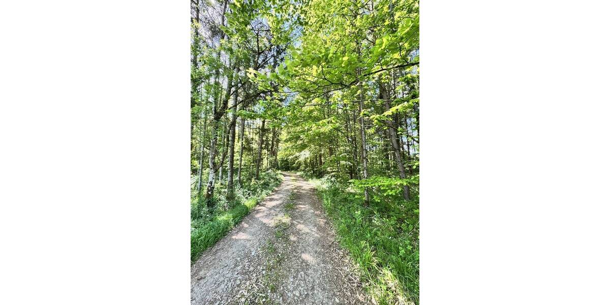 Grundstück Treuchtlingen Wettelsheim Wettelsheim - 28.863&euro; | Angebot:23948279