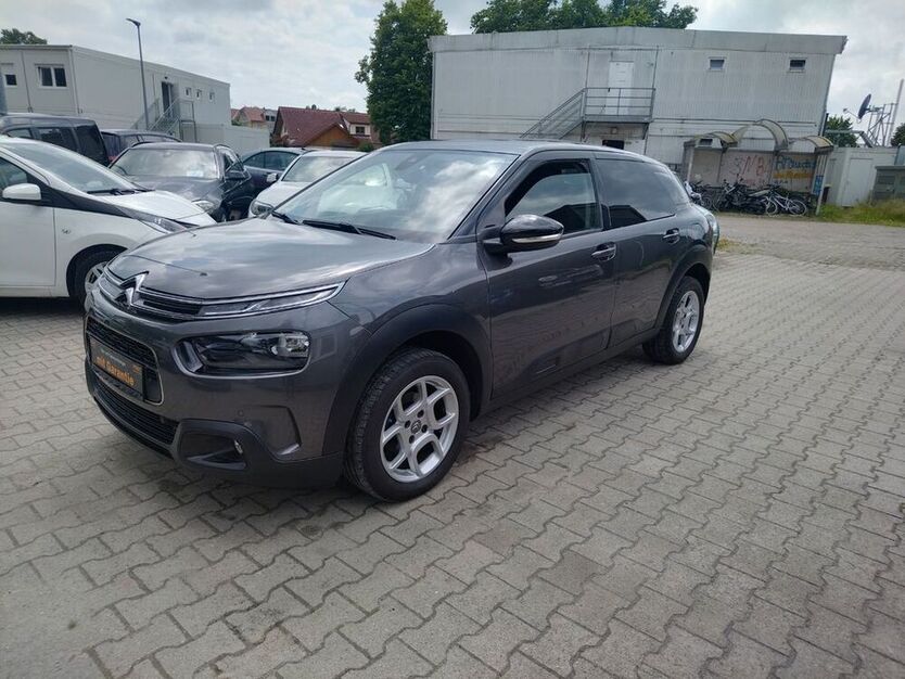 C4 Cactus