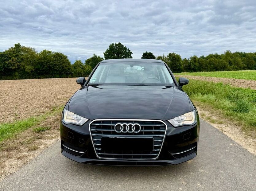 A3