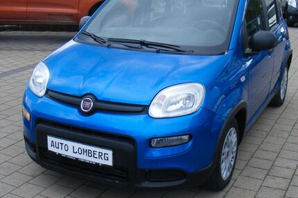 Fiat Panda 63.031 km 9.900 &euro; Weiden 92637