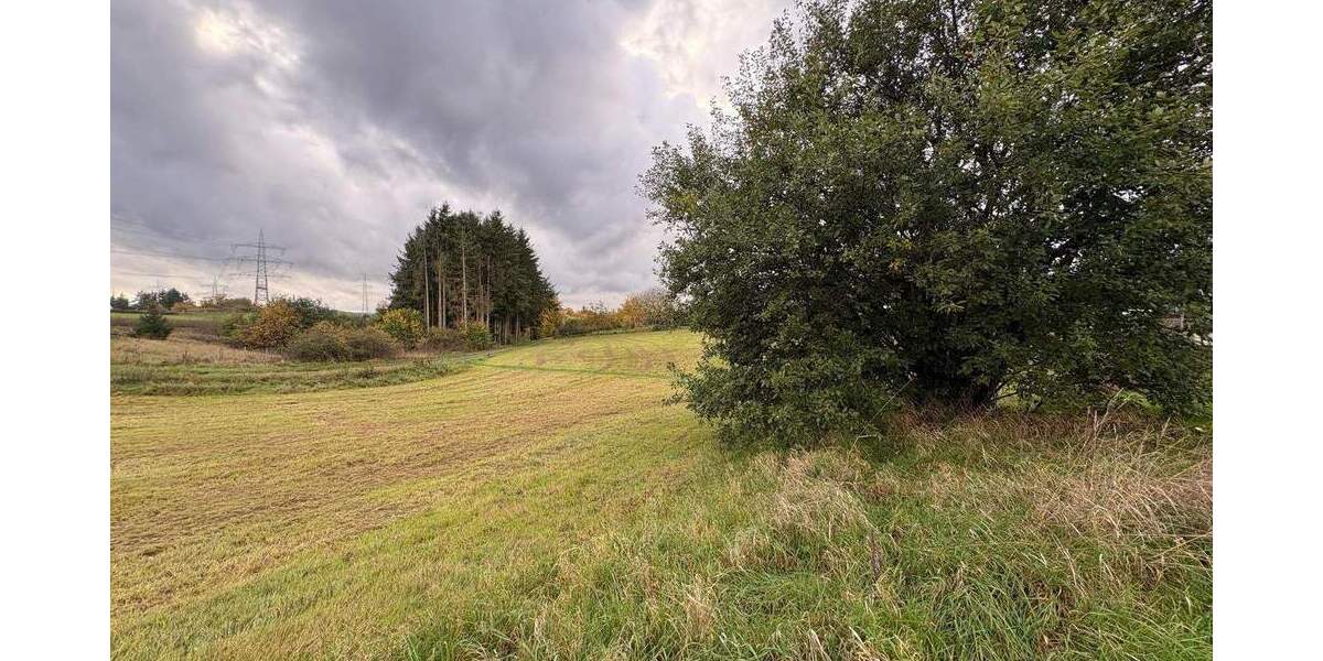 Grundstück Beuren - 36.000&euro; | Angebot:25692929