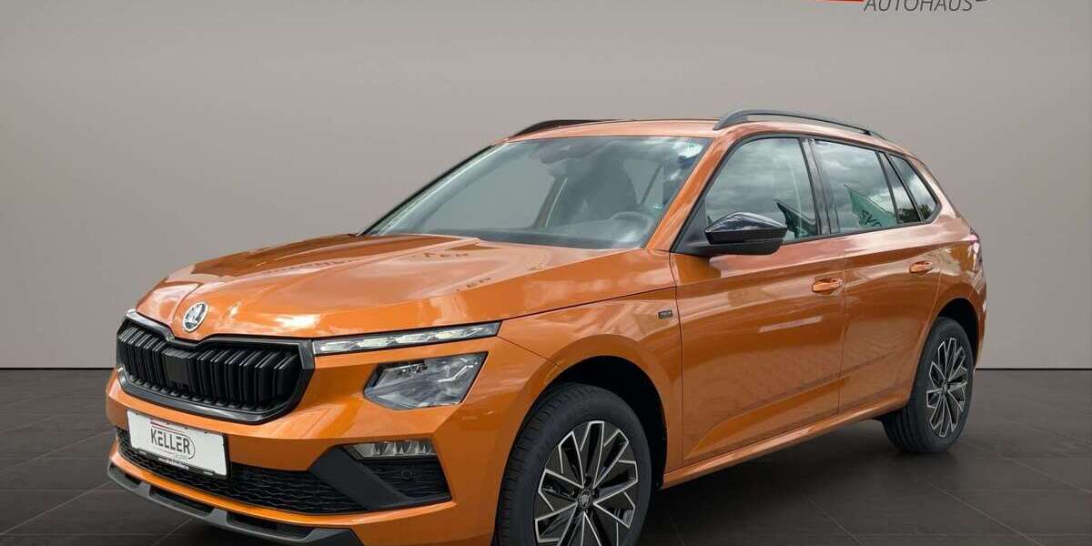 Skoda Kamiq 4.975 km 27.950 &euro; Schwarzenberg 08340