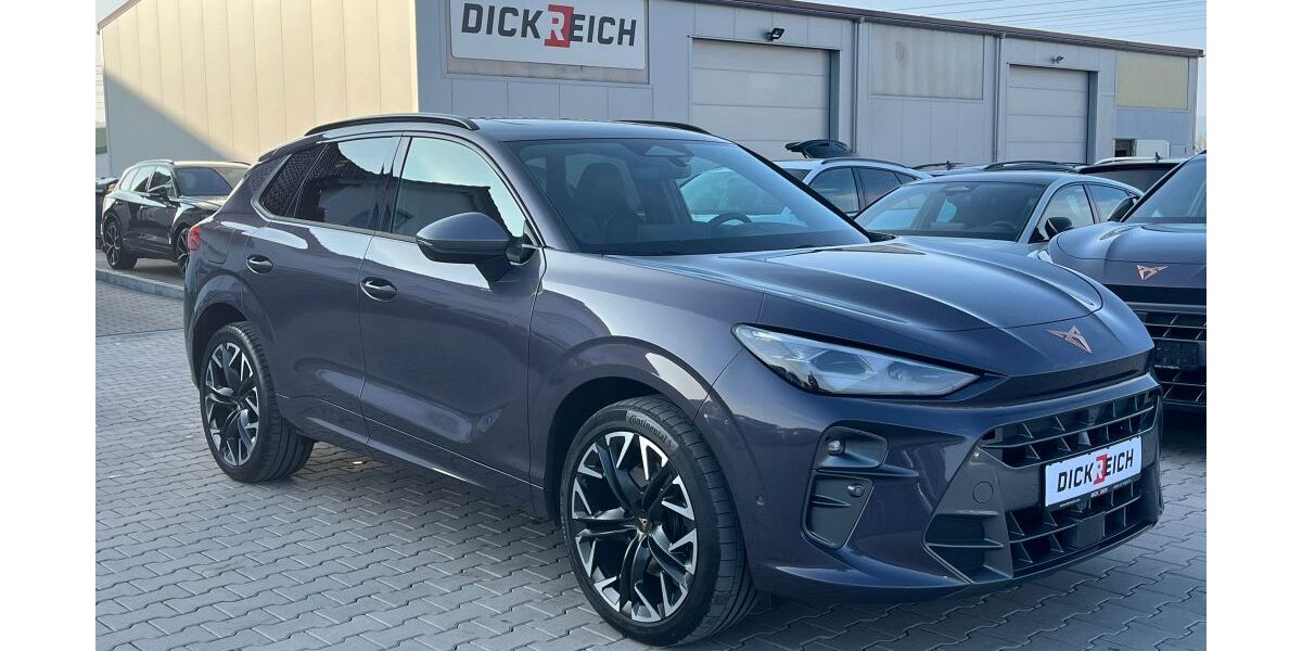 Cupra Terramar 15.876 km 39.450 &euro; Burghaun 36151