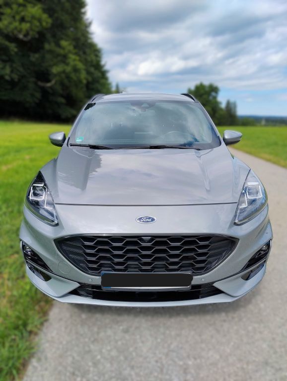 Kuga