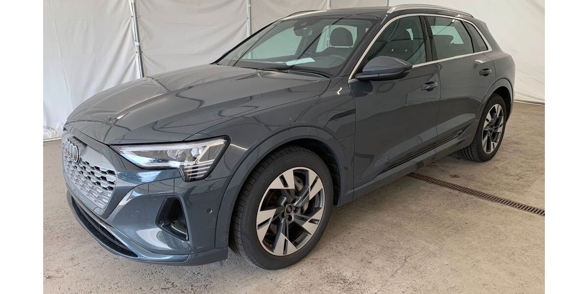 Audi Q8 e-tron 69.245 km 40.990 &euro; Steinbach-Hallenberg OT Herges-Hallenberg 98587
