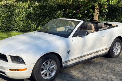 Ford Mustang 53.300 km 12.500 &euro; Münster 48163