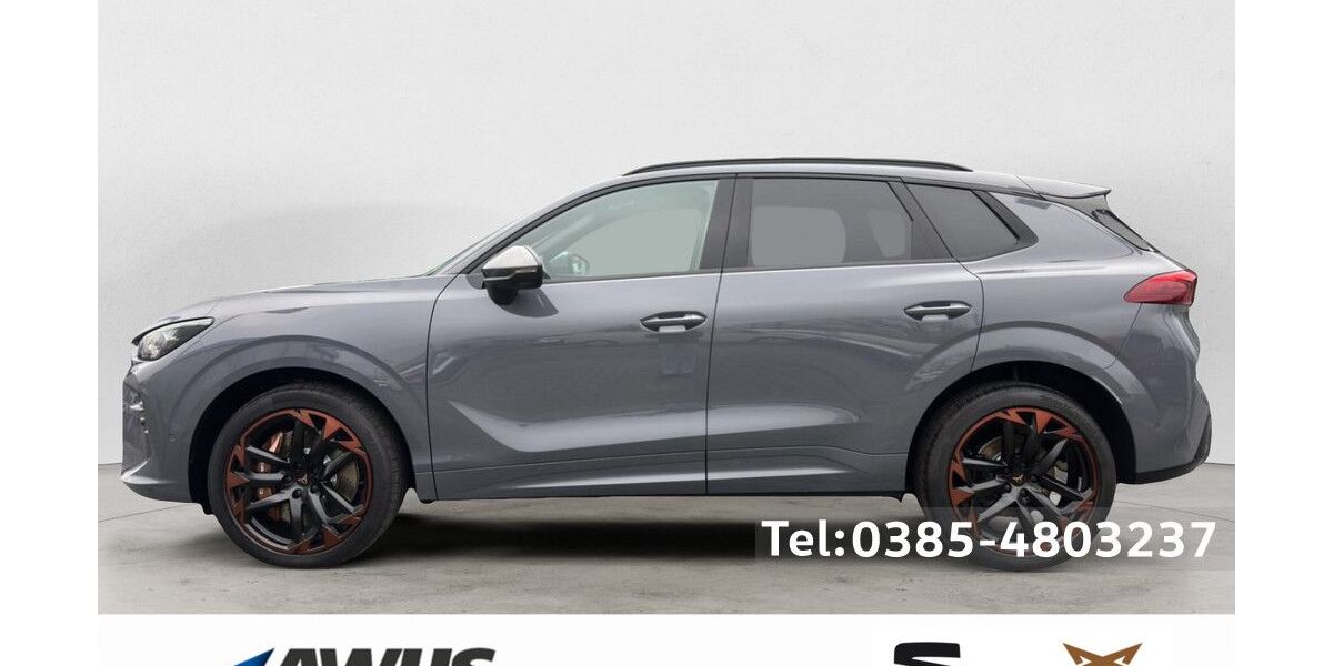 Cupra Terramar 4.000 km 52.990 &euro; Schwerin 19057