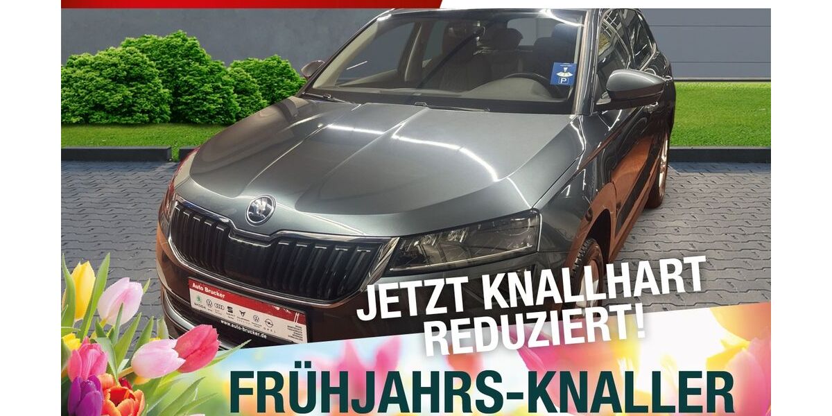 Skoda Karoq 46.744 km 18.970 &euro; Marktredwitz 95615
