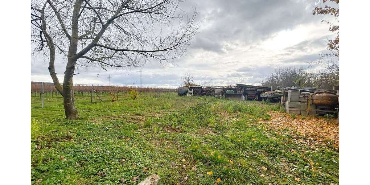 Grundstück Gensingen - 279.000&euro; | Angebot:26183093