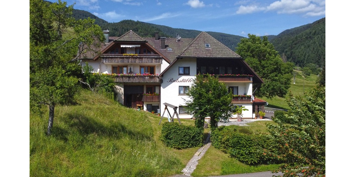 Gewerbeobjekt Simonswald - 2 Zimmer, 1.295.000&euro; | Angebot:25779079