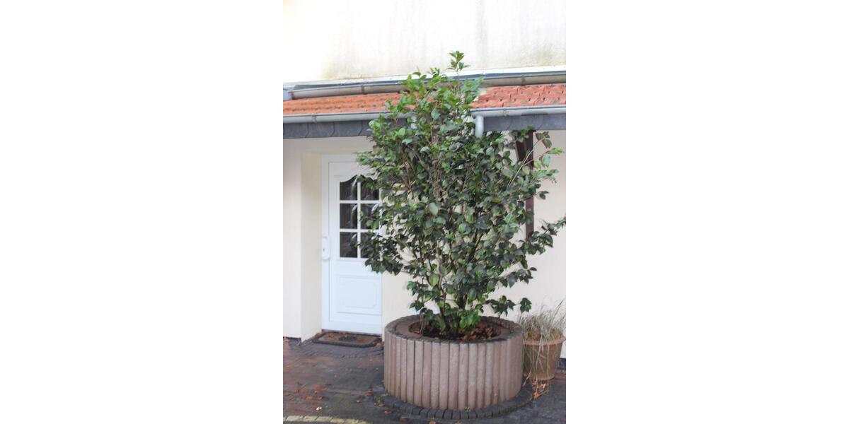 Einfamilienhaus Schortens - 3 Zimmer, 158 m&sup2;, 1.100&euro; | Angebot:25876054