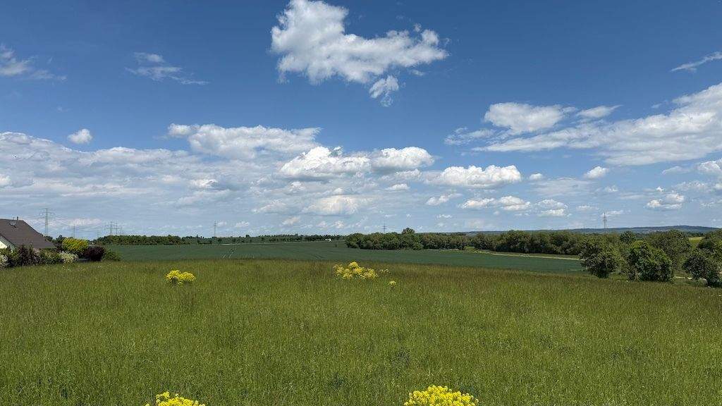 Grundstück Arnstadt Marlishausen - 105.570&euro; | Angebot:24721448