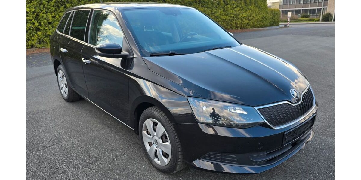 Skoda Fabia 81.078 km 10.999 &euro; Horn-Bad Meinberg 32805