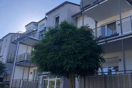 Wohnung zum Kaufen in Andernach 172.000 € 62 m² 2 zimmer