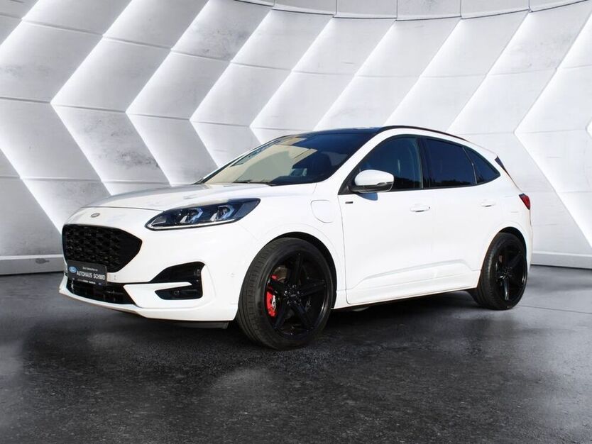 Kuga