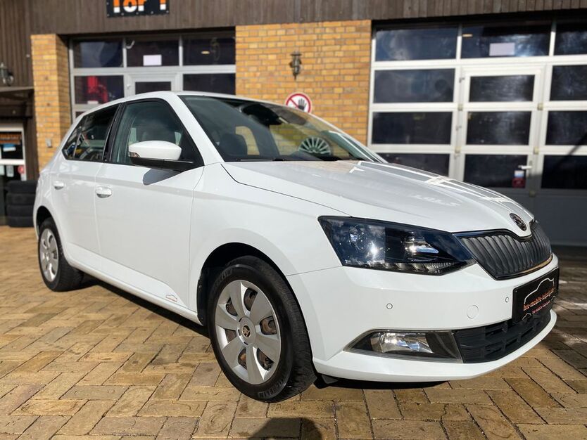 Skoda Fabia 92.731 km 10.990 € Leipzig 04178