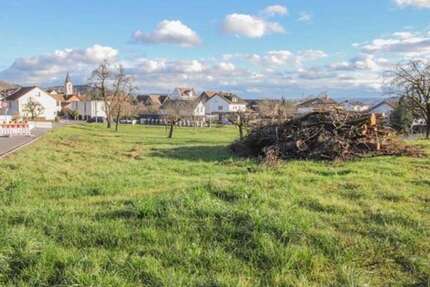 Grundstück Waldshut-Tiengen Tiengen - 300.000&euro; | Angebot:24457457