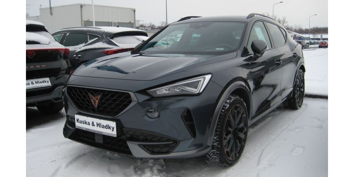 Cupra Formentor 44.584 km 29.495 &euro; Bad Doberan 18209