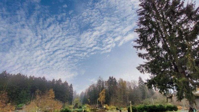 Mehrfamilienhaus, Wohnhaus Falkenstein - 3 Zimmer, 85 m&sup2;, 69.900&euro; | Angebot:25662148