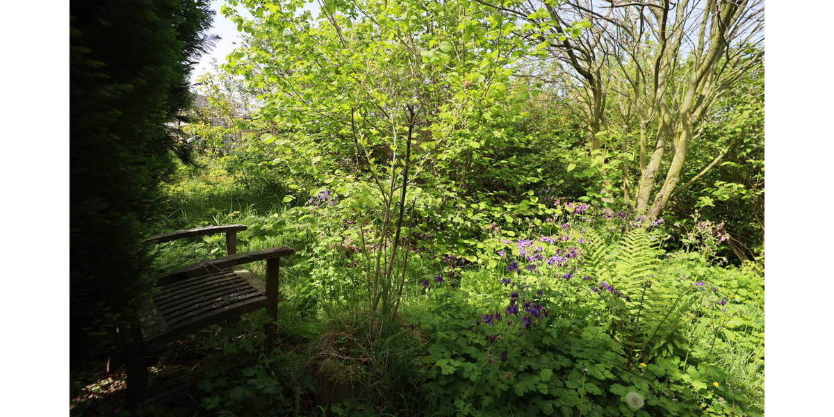 Grundstück Swisttal / Odendorf Odendorf - 320.000&euro; | Angebot:19311588