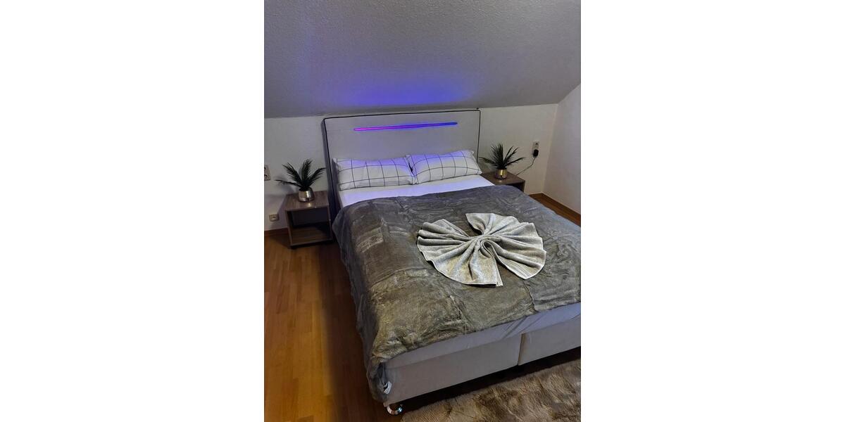 Villa Plauen Altstadt - 4 Zimmer, 140 m&sup2;, 200&euro; | Angebot:25920829