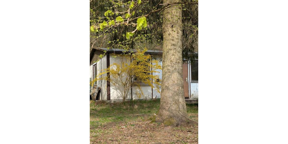 Einfamilienhaus Suhl Schmiedefeld am Rennsteig - 9 Zimmer, 230 m&sup2;, 52.000&euro; | Angebot:26197985