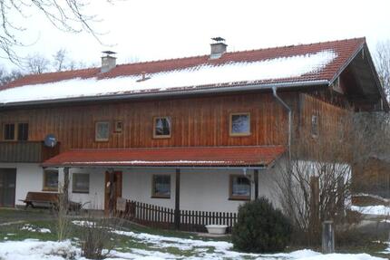 Wohnung zu vermieten zimmer
