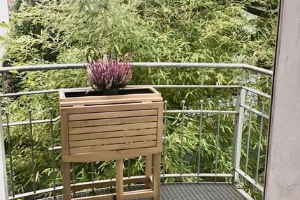 Wohnung Verden (Aller) - 1 Zimmer, 36 m&sup2;, 700&euro; | Angebot:25505814