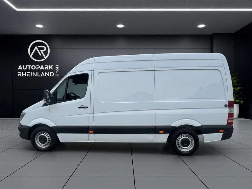 Sprinter