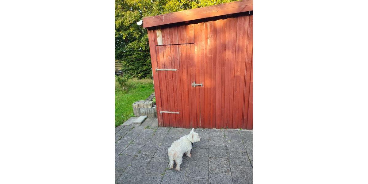 Doppelhaushälfte Dorsten - 6 Zimmer, 145 m&sup2;, 85.000&euro; | Angebot:26826472