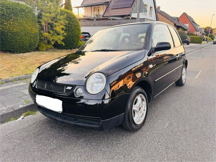 Lupo