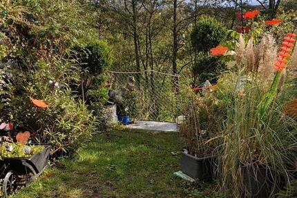 Helle 2-Zimmer Wohnung mit Blick ins Grüne 2 zimmer