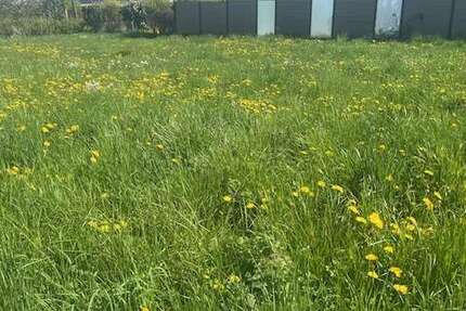 Grundstück Rheinbach-Merzbach Merzbach - 240.000&euro; | Angebot:26289617