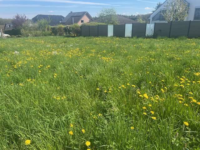 Grundstück Rheinbach-Merzbach Merzbach - 240.000&euro; | Angebot:26289617