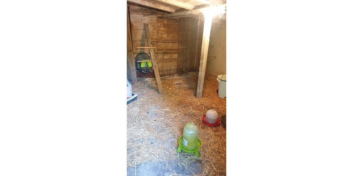 Einfamilienhaus Mittelangeln - 4 Zimmer, 139 m&sup2;, 287.000&euro; | Angebot:26023408