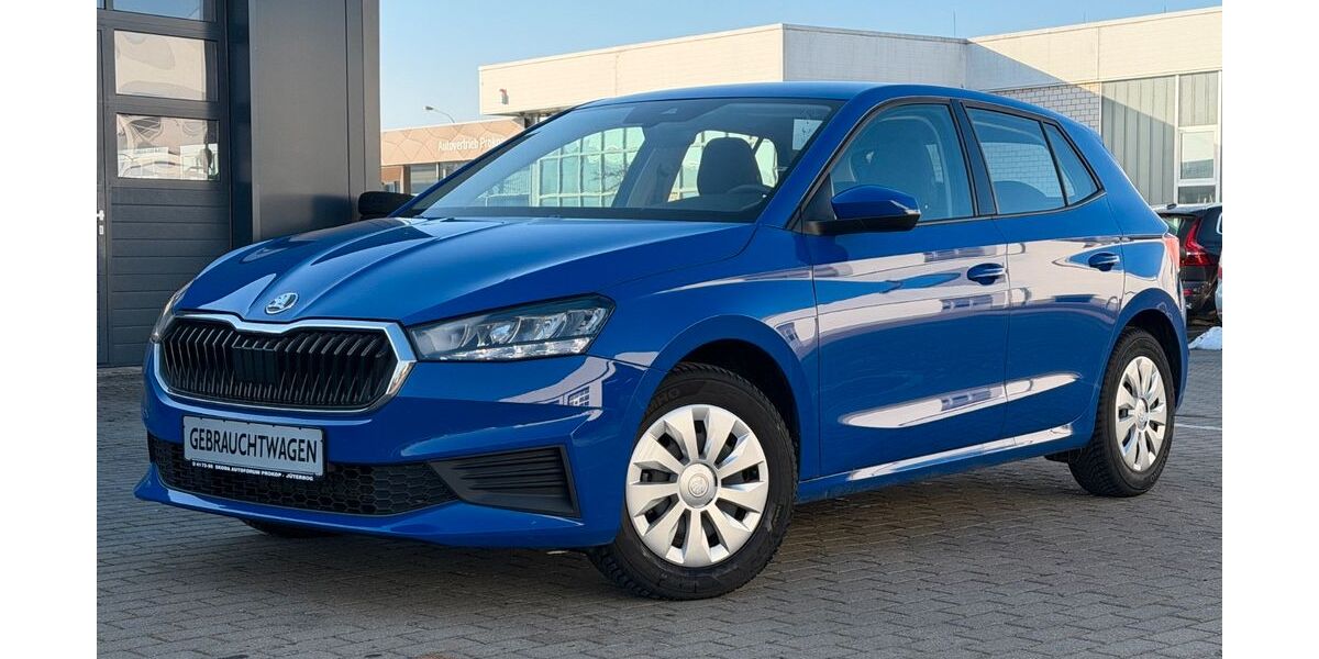 Skoda Fabia 24.785 km 15.490 &euro; Jüterbog 14913