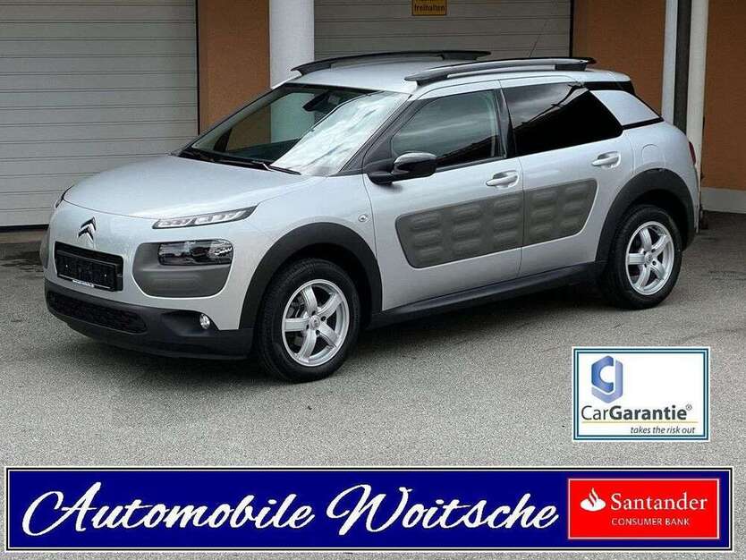 C4 Cactus