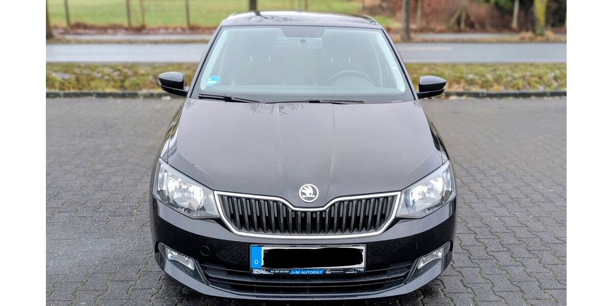 Skoda Fabia 74.272 km 9.900 &euro; Paderborn 33104