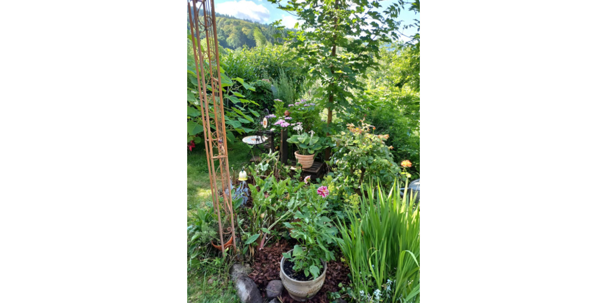 Erdgeschoßwohnung Bühl - 2 Zimmer, 50 m&sup2;, 1.000&euro; | Angebot:25396822