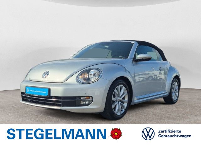 Beetle