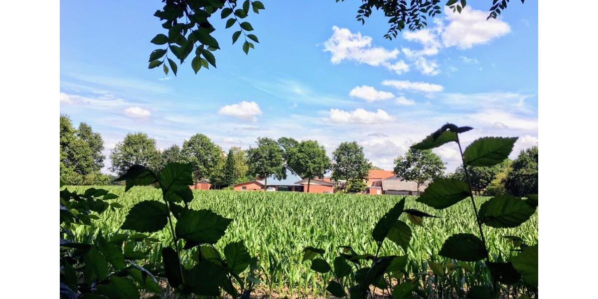 Bungalow Hude (Oldenburg) - 3 Zimmer, 121 m&sup2;, 429.000&euro; | Angebot:26423959