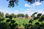 Bungalow Hude (Oldenburg) - 3 Zimmer, 121 m&sup2;, 429.000&euro; | Angebot:26423959