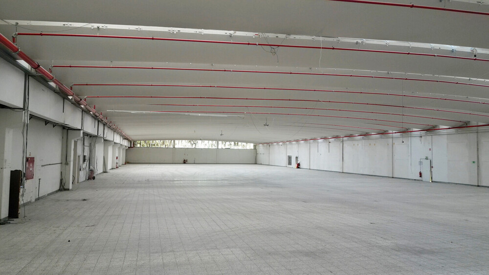 Hüntepark Halle 1 Ost: ca. 2.528 m² 5,40 m UKB LagerIndustrieGewerbe - Gewerbeobjekt Papenburg Aschendorf, Stadt Papenburg | Angebot:24477916