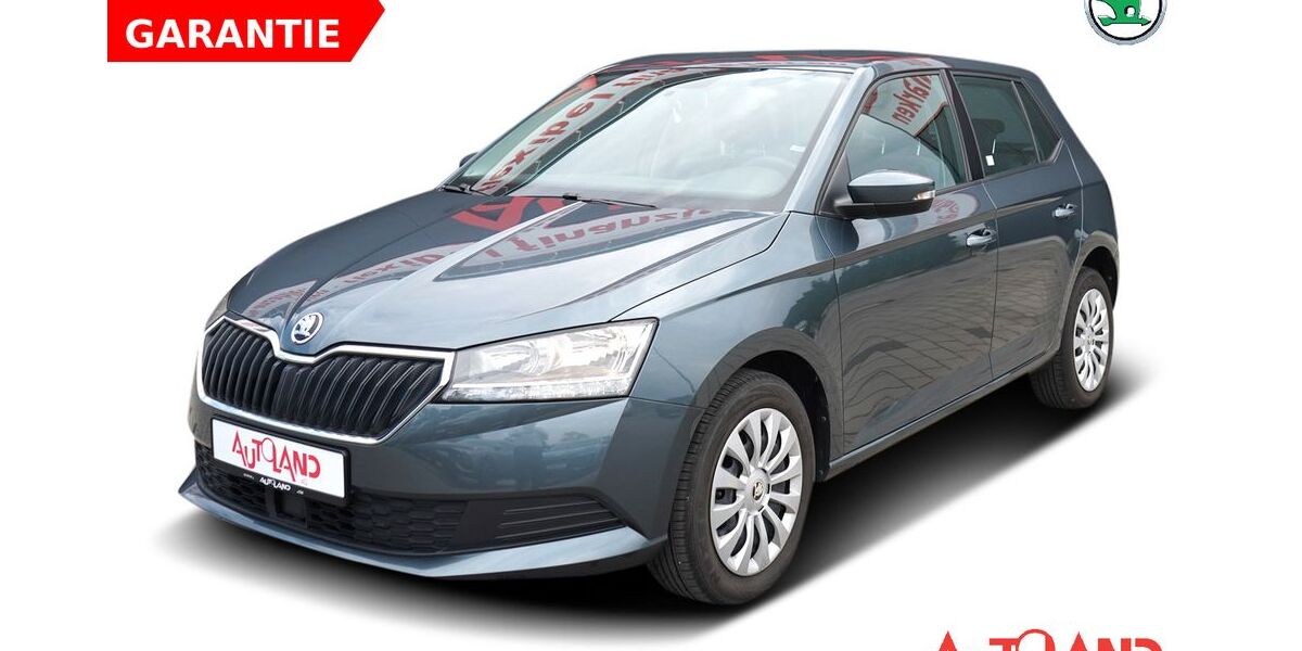 Skoda Fabia 38.759 km 13.990 &euro; Gotha 99867