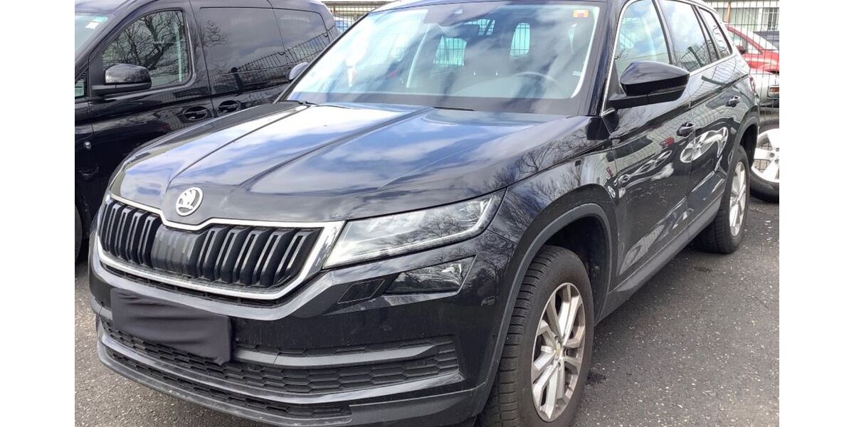 Skoda Kodiaq 171.000 km 18.207 &euro; Heidelberg 69123