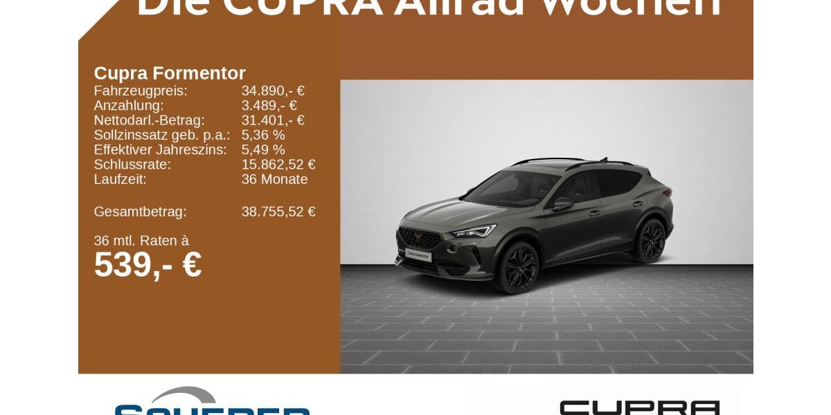 Cupra Formentor 20.189 km 34.890 &euro; Bingen / Rhein 55411