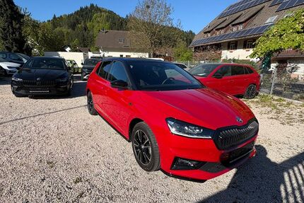Skoda Fabia 11.800 km 20.900 &euro; Gutach 77793