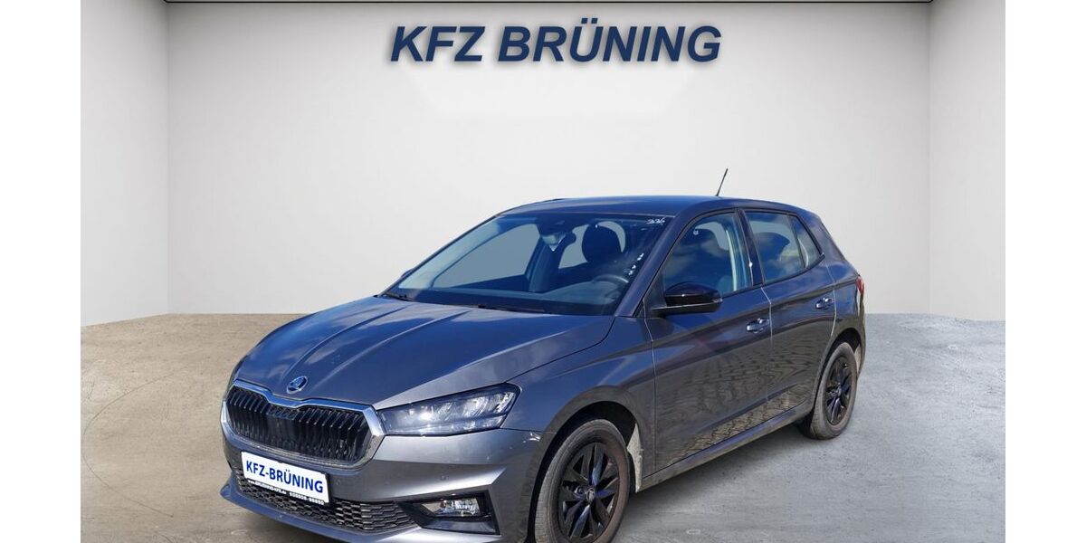 Skoda Fabia 19.871 km 16.080 &euro; Lingen (Ems) 49811