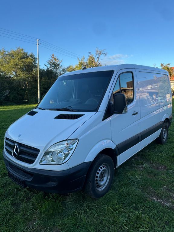 Sprinter